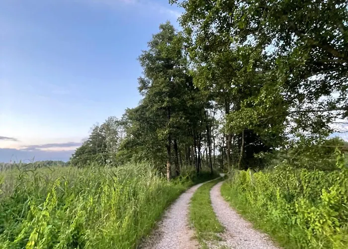 샬레 Tiny House - Osada Wilkasy *